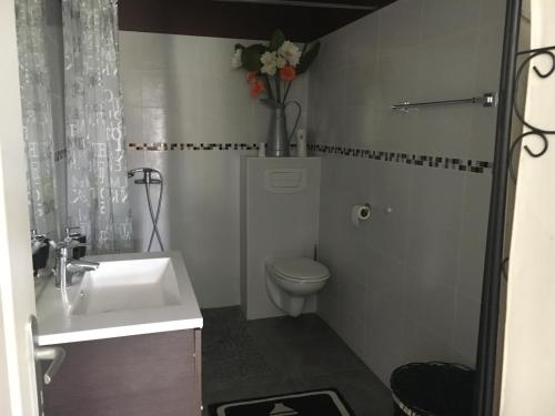 a bathroom with a white sink and a toilet at Piscine ET JACUZZI ST GEORGES DE DIDONNE a 1km de la plage in Saint-Georges-de-Didonne