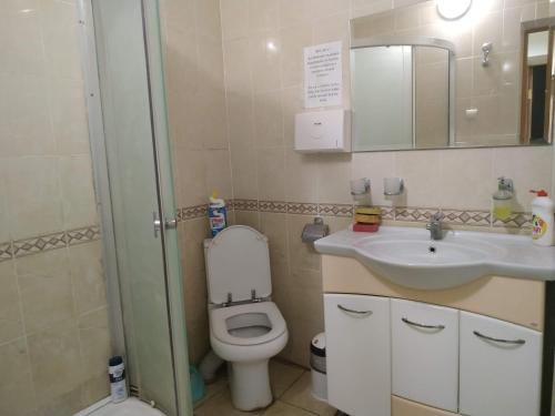y baño con aseo, lavabo y espejo. en Mini-hotel Chabany Lake - Мини-отель у Озера Чабаны, en Chabany