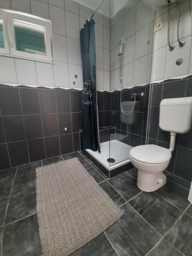 a bathroom with a toilet and a shower at Apartment Računica in Vodice