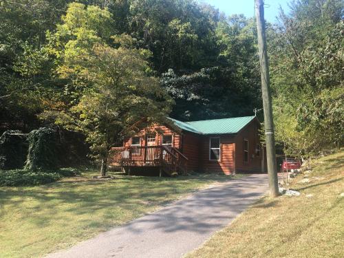 Black Bears Den – Photos 3