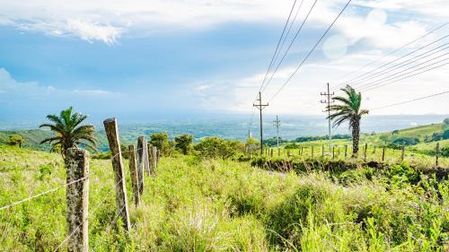 a fence on a hill with palm trees in a field at Agutipaca Bungalows in Bagaces
