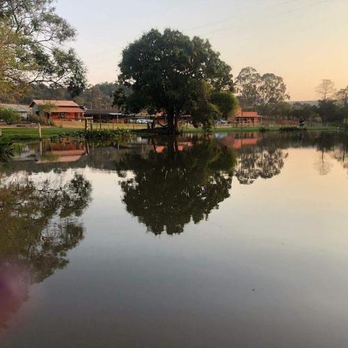a reflection of a tree in a body of water at Paraíso Capitólio Suítes Pousada in Capitólio