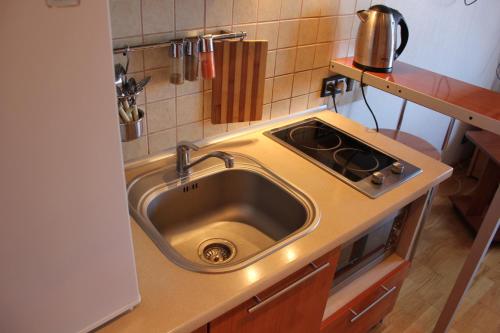 a kitchen with a sink and a stove at Apartments On Centralny Rynok in Kaliningrad