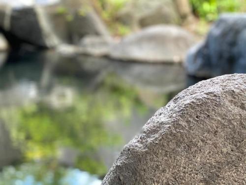 Un paisaje natural cerca del ryokan