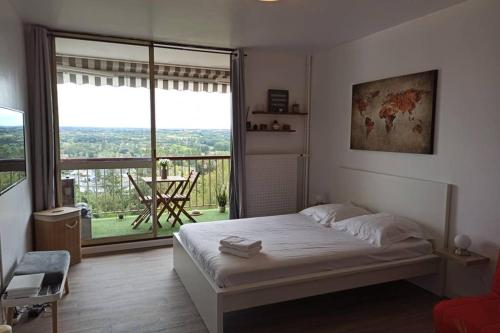1 dormitorio con cama y ventana grande en Studio Charmant avec vue magnifique!, en Montrichard