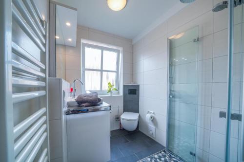 a bathroom with a toilet and a sink and a shower at Südstrandhus Urlaub mit Hund Wohnung 4 oben in Borkum