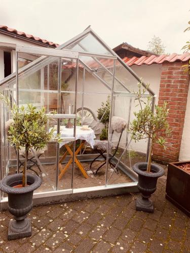 a glass greenhouse with a table and two potted trees at Das Kleine Hotel Schleiblick in Schleswig