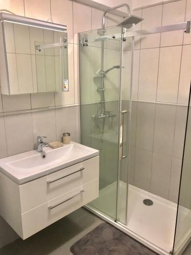 a bathroom with a sink and a glass shower at Lux Apartments Krasici in Krašići