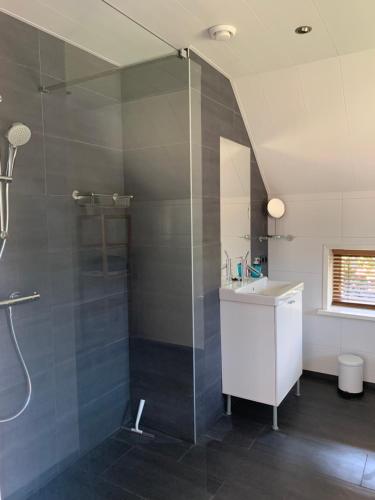 een badkamer met een douche en een wastafel bij De Stal - Buitenplaats Ruitenveen, privé! in Nieuwleusen