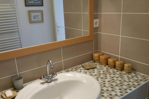 La salle de bains est pourvue d'un lavabo et d'un miroir. dans l'établissement APPARTEMENT DE CHARME AU COEUR DE NEVERS, à Nevers