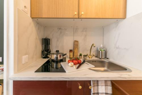 une petite cuisine avec un évier et une cuisinière dans l'établissement WS Opéra - Rossini, à Paris