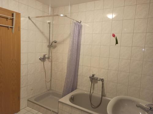 a bathroom with a shower and a tub and a sink at Ebenerdige 2-Zimmer-Wohnung in Arnsgereuth