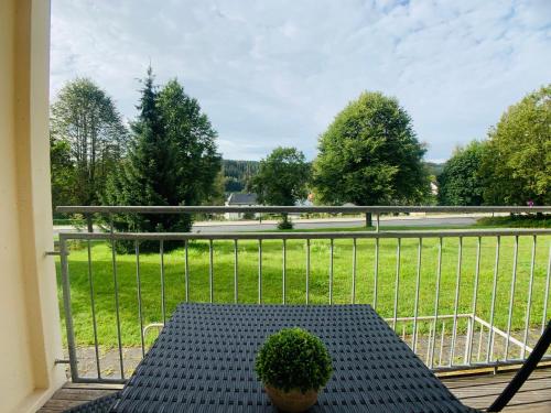 a table on a balcony with a view of a field at Komfortables Apartment in Bad Elster mit Netflix in Bad Elster