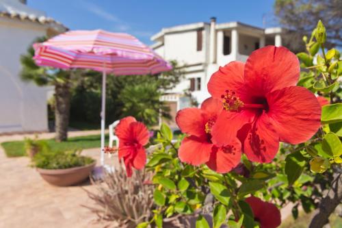 Casa Marina sulla spiaggia – Photos 2