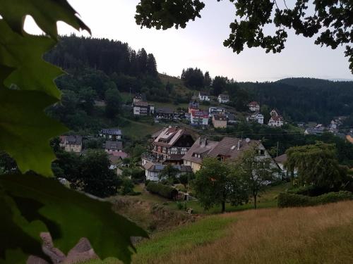 a village on a hill with houses at Gasthaus Mühlenstube in Lauterbach