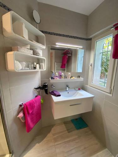 une salle de bain avec un lavabo et un miroir dans l'établissement Villa - Chambre privée au calme pour 2 personnes, à Vence