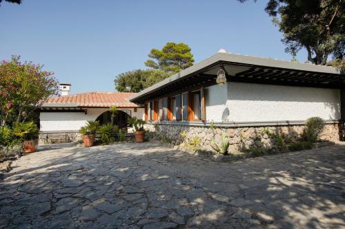 Ansedónia