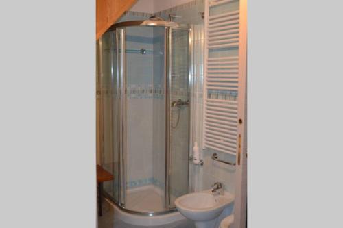 a bathroom with a shower and a toilet and a sink at Chalet nel bosco in Borca di Cadore