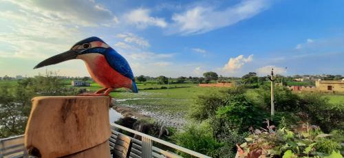 Gallery image of IbisHouse Farm Stay in Bharatpur