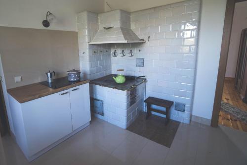 Dapur atau dapur kecil di Dolina Ciszy - dom na skraju Puszczy Knyszyńskiej