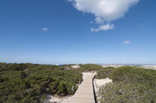 Gambar di galeri bagi Apartamentos Catalina di Es Pujols