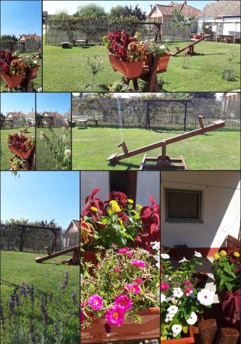 a collage of pictures of flowers in a yard at Apartman ALEXANDAR in Bogatić