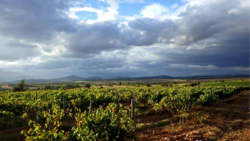 Φυσικό τοπίο κοντά σε αυτή η εξοχική κατοικία