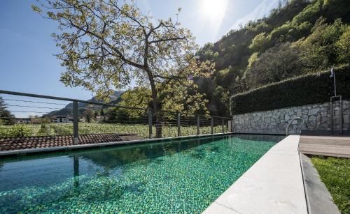 una piscina in mezzo a un cortile con una montagna di Boutique Hotel Zum Rosenbaum a Nalles