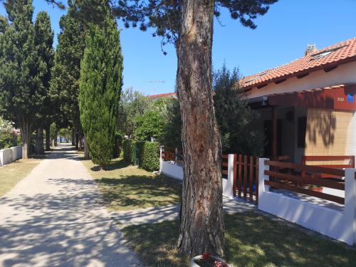 Fotografie z fotogalerie ubytování Queen beach apartments Nin Sabunike - Green street I v destinaci Nin