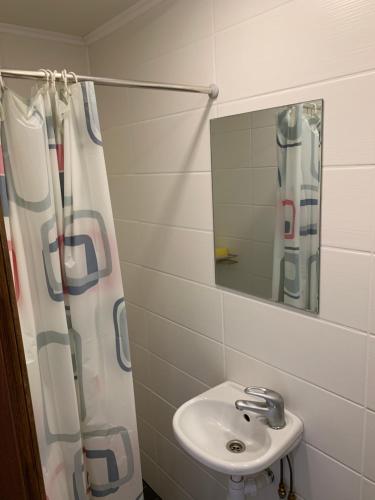 塔尔图Delta 4 Nice apartment 2 big bed的带水槽和浴帘的浴室