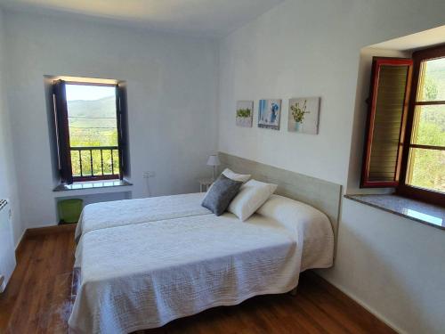 a bedroom with a large bed with two windows at Casa Rural O Rabadan in Cedeira
