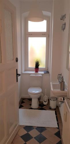 a bathroom with a toilet and a window at Ferienwohnung Hufelandstern bis 7 Personen - mit E-Ladesäule! in Bad Wildungen