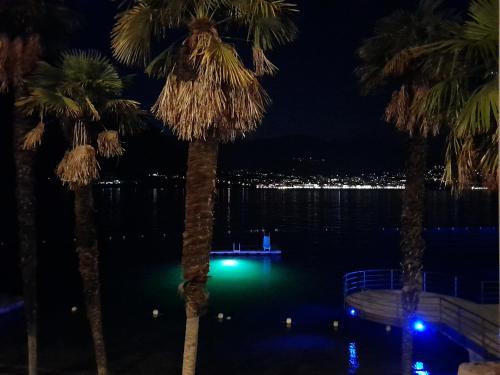 a pool with palm trees and a city at night at Anna's Home in Campione dʼItalia