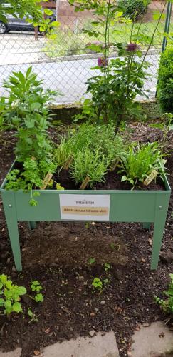 a garden with plants in a box in the dirt at Ferienwohnung Hufelandstern bis 7 Personen - mit E-Ladesäule! in Bad Wildungen