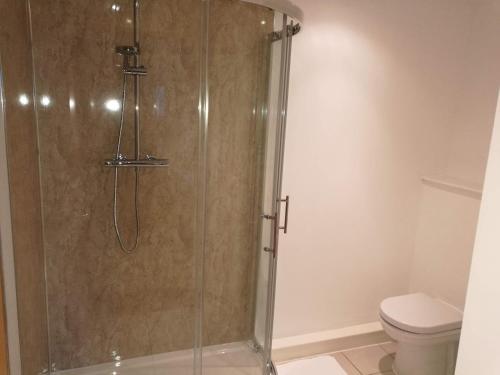 a bathroom with a shower with a toilet at Glasgow Central Riverview Luxury Apartment (Sleeps upto 8) in Glasgow