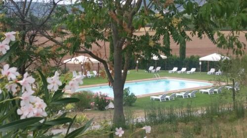 una piscina con tumbonas en un patio en Casa Country House Girasole vakantie huis-WAKACJE HUIS, en Asciano