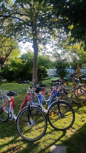 a group of bikes parked in a park at Alexandra Homestay in Kalavárda