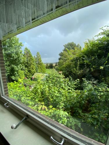 a window with a view of a garden at Haus Dres Ferienwohnung 1 und 2 in Aventoft