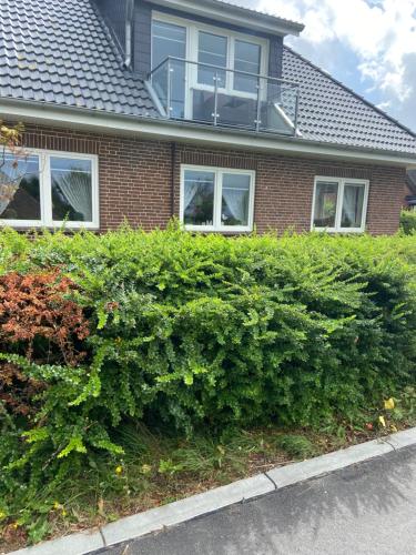 a large green hedge in front of a house at Haus Dres Ferienwohnung 1 und 2 in Aventoft