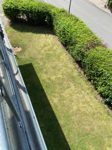 a yard with green grass and a hedge at Haus Dres Ferienwohnung 1 und 2 in Aventoft