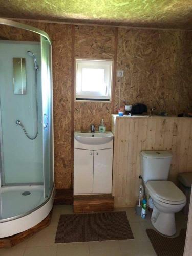 a bathroom with a shower and a toilet and a sink at Pas Garfildą in Vatušiai