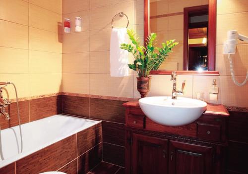 a bathroom with a sink and a bath tub and a sink at Hotel Driofillo in Elati Zagori