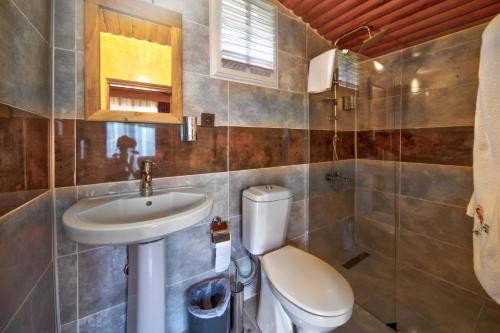 a bathroom with a toilet and a sink at Paradise Plus Ağva in Agva
