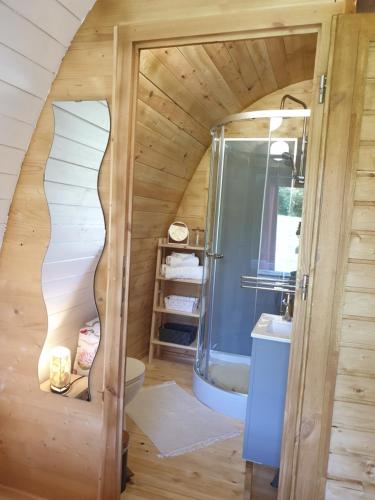 Chambres d'hôtes de La Roche في Frossay: حمام مع دش ومرحاض في الغرفة