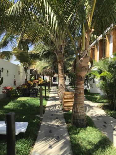 a sidewalk with palm trees and a bench at Casa Villamor in Máncora