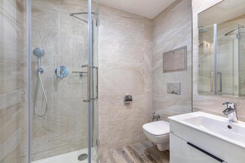 a bathroom with a shower and a toilet and a sink at Apartmán B Harrachov in Harrachov