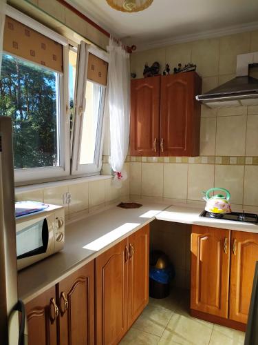 Kuchyň nebo kuchyňský kout v ubytování Apartament U Rybaka