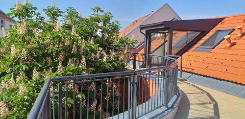 Piacsek Apartmanház 7621 Pécs, Felsőmalom utca 10 kép - 3