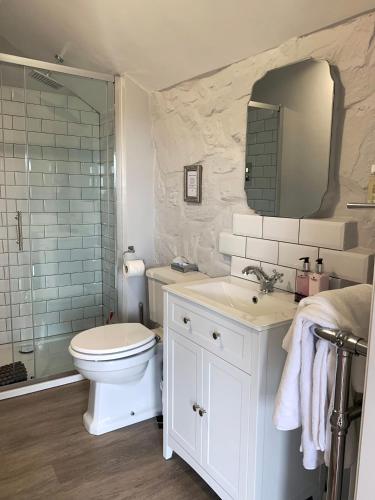 a bathroom with a toilet and a sink and a mirror at Ty Capel in Llanidloes