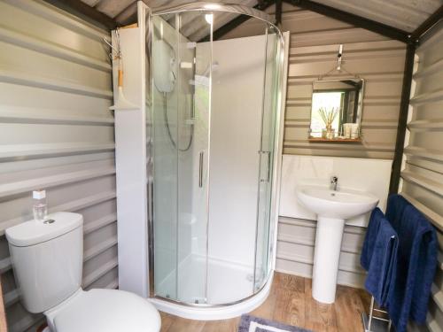 a bathroom with a shower and a toilet and a sink at Shepherd's Hut in Scarborough